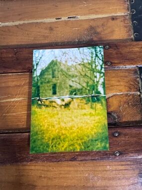 Barbed Wire Over Abandoned Farm Photo Print - Green & Yellow